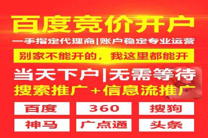 某SEM外包公司广告投放策略及效果评估